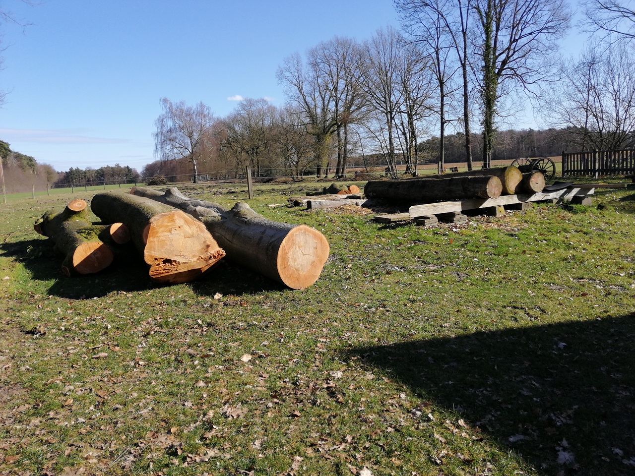 1 IMG_20260301_130228